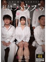 自从被我爱的人背叛的那天起，我就成了“家”的猎物。 ——福原南
